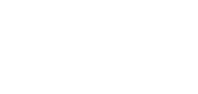 Bruine Beer